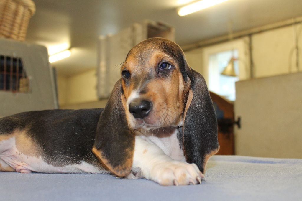 TRÉSOR de la Petite Dordogne