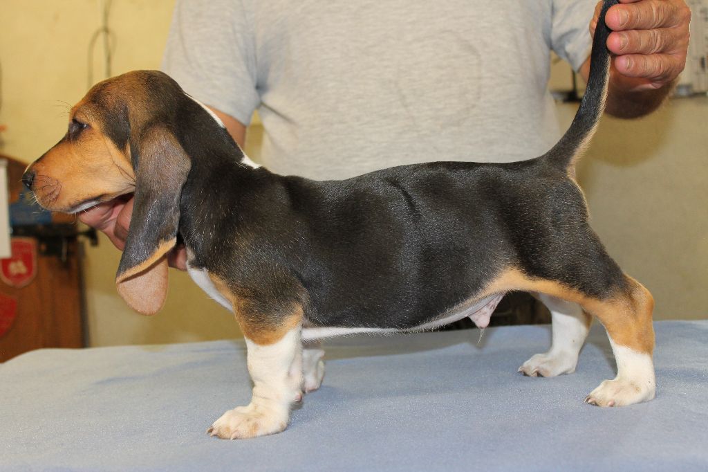 TRÉSOR de la Petite Dordogne