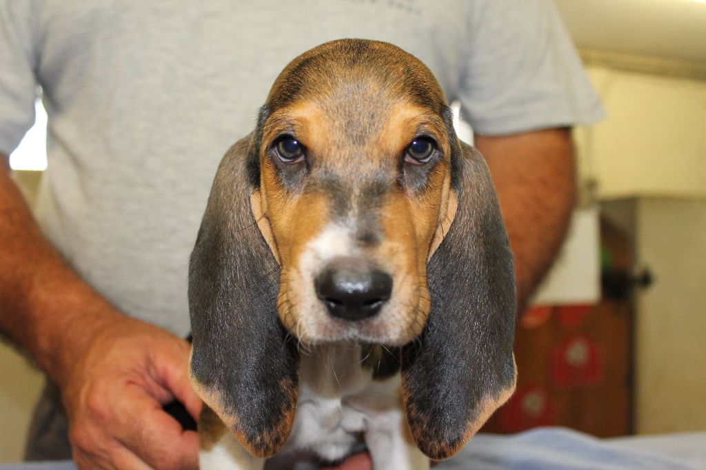 TRÉSOR de la Petite Dordogne