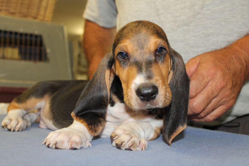 TRÉSOR de la Petite Dordogne