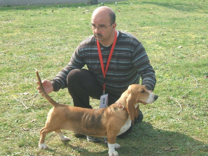 Excellence des combes du Salepeyssou - 2éme Excellente