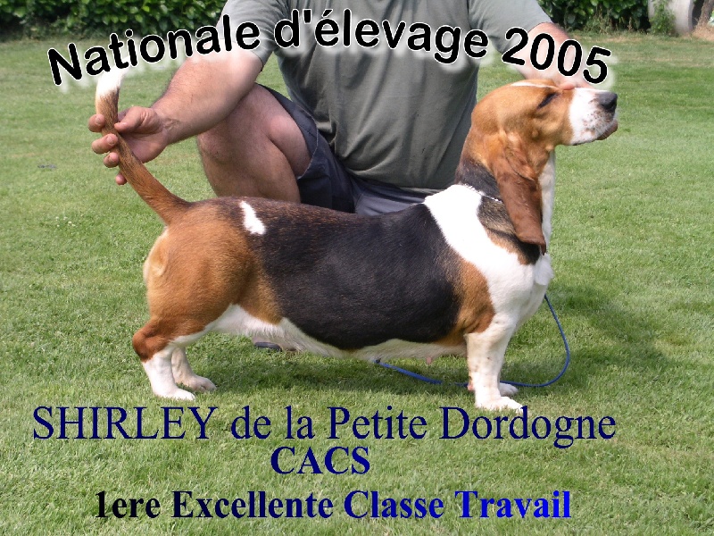 Shirley de la petite dordogne - Excellent Classe Vétéran Femelle