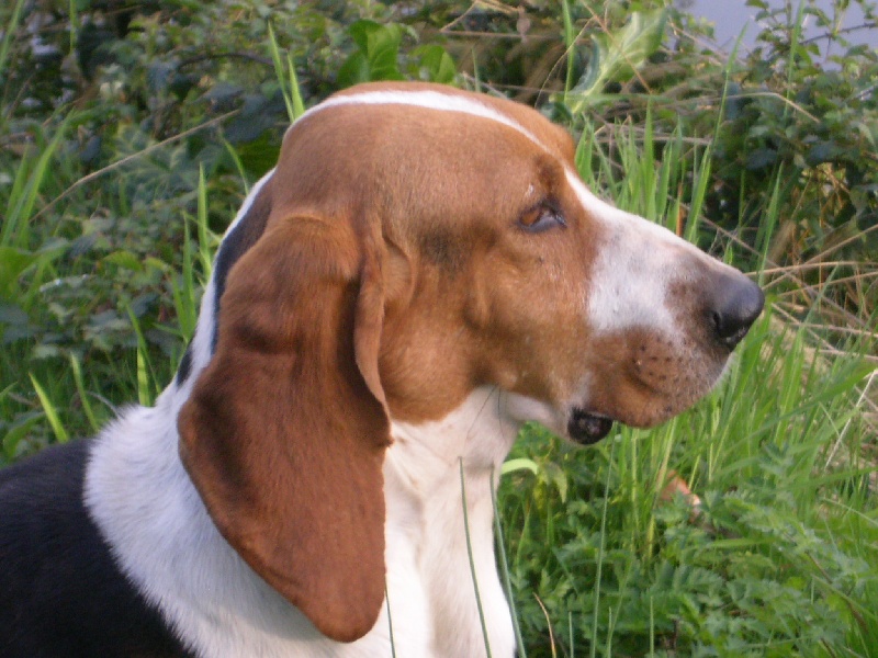 Artiste de la petite dordogne - Excellent Classe Travail