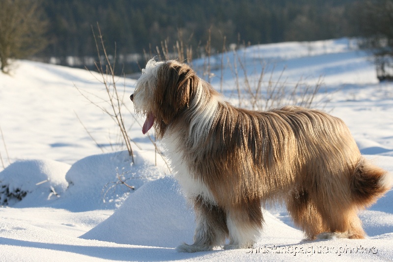 Publication : du paradis des coeurs tendres Auteur : Christine Pagnier