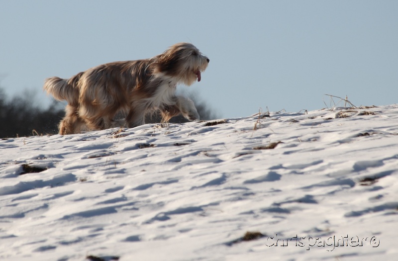 Publication : du paradis des coeurs tendres Auteur : Christine Pagnier