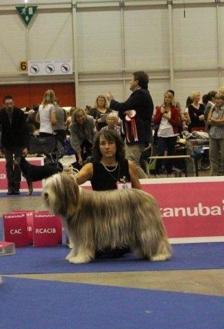 CH. Gentiane des Emeraudes du Lac - EXC