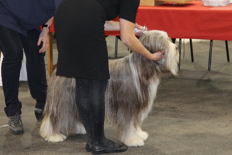 CH. Gentiane des Emeraudes du Lac - 2°TB