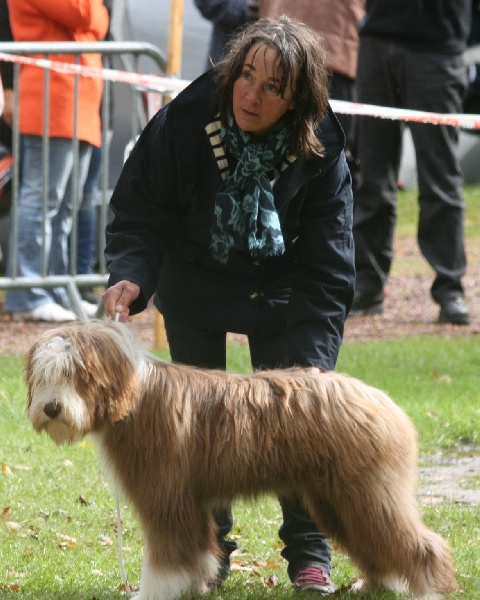 CH. Gentiane des Emeraudes du Lac - Très prometteur