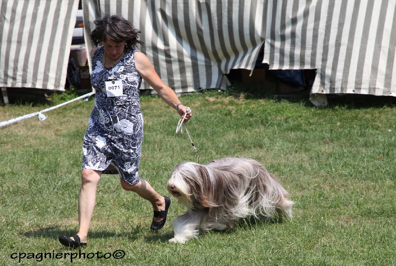CH. Gentiane des Emeraudes du Lac - EXC