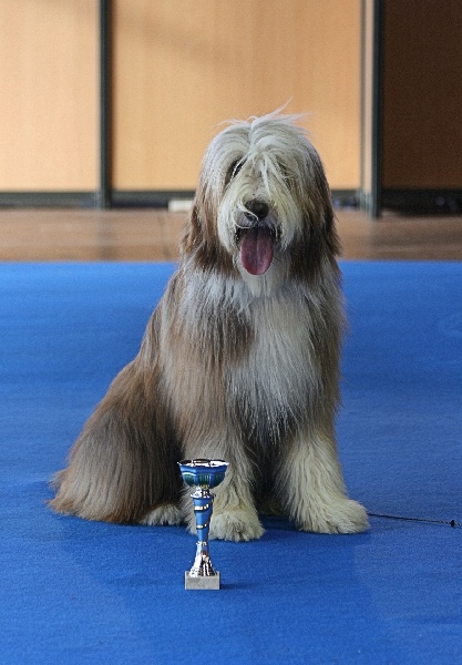 CH. Gentiane des Emeraudes du Lac - 1° EXC, Meilleure Jeune