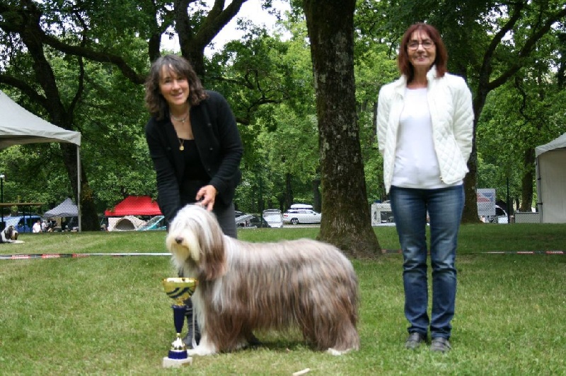 CH. Gentiane des Emeraudes du Lac - 1 °EXC