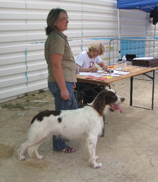 Publication : du domaine de Carrouge Auteur : YL