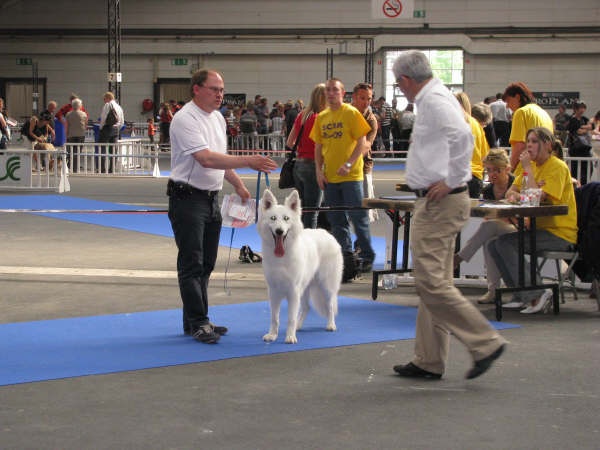 Publication : du domaine de turnago villares