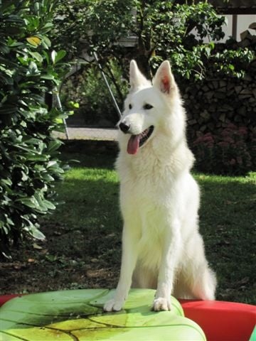 Publication : du domaine de turnago villares