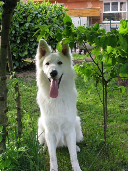 Publication : du domaine de turnago villares