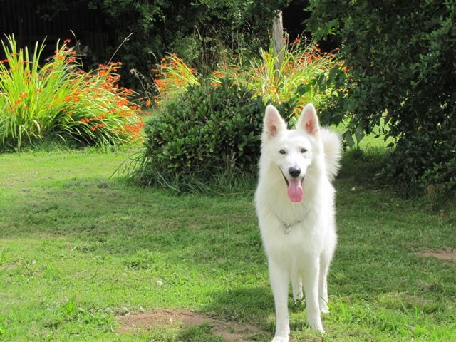 Publication : du domaine de turnago villares