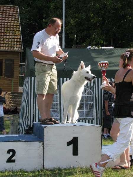 Publication : du domaine de turnago villares