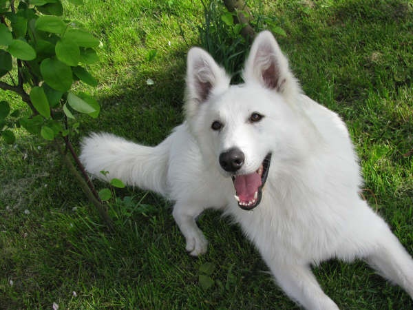 Publication : du domaine de turnago villares