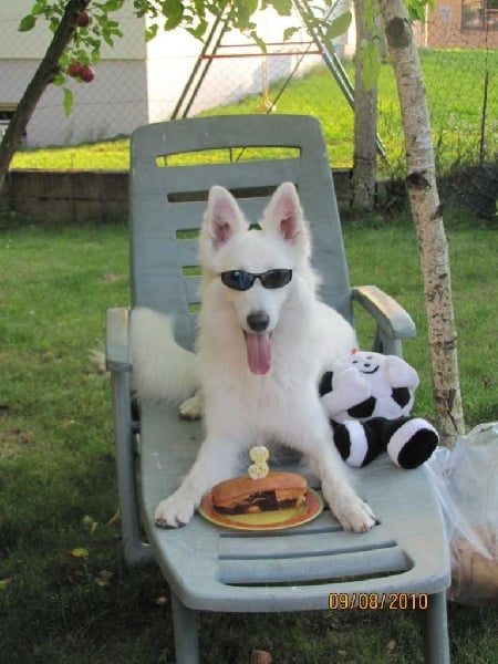 Publication : du domaine de turnago villares