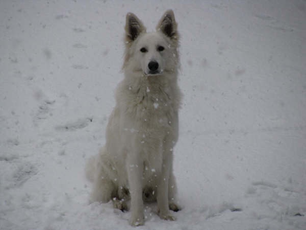 Publication : du domaine de turnago villares