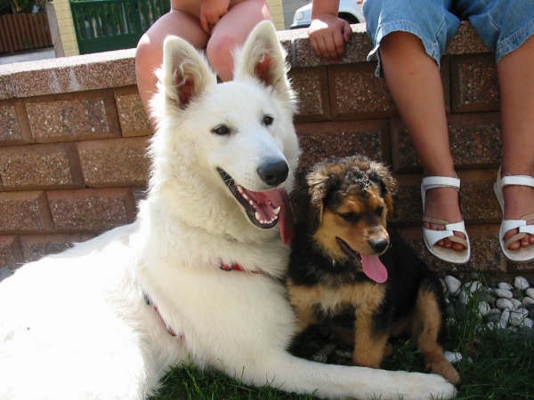 Publication : du domaine de turnago villares