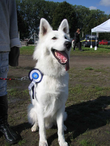 Publication : du domaine de turnago villares