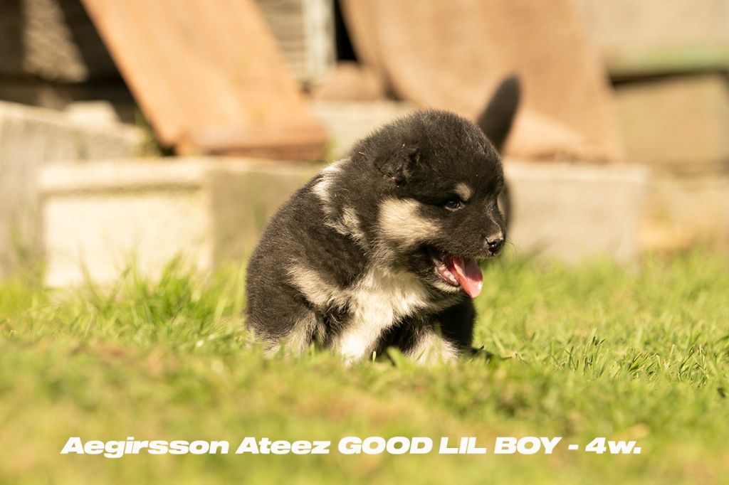 ATEEZ Good Lil Boy
