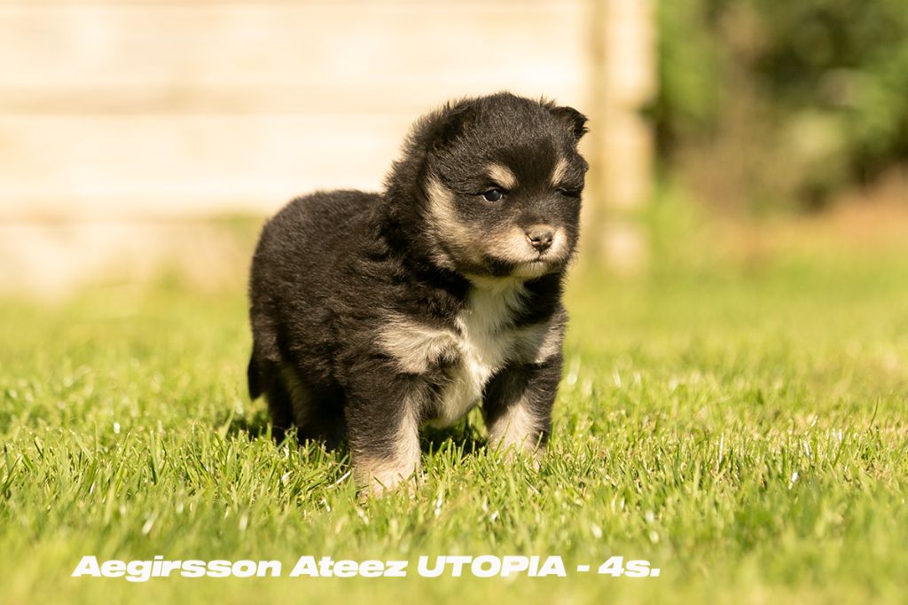 ATEEZ Utopia