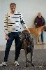 - CACIB KARLSRUHE