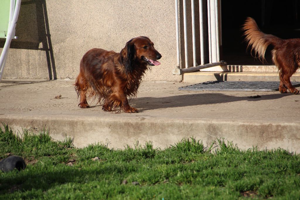 Publication : de la Cité des Maraudeurs Auteur : Propriétaire