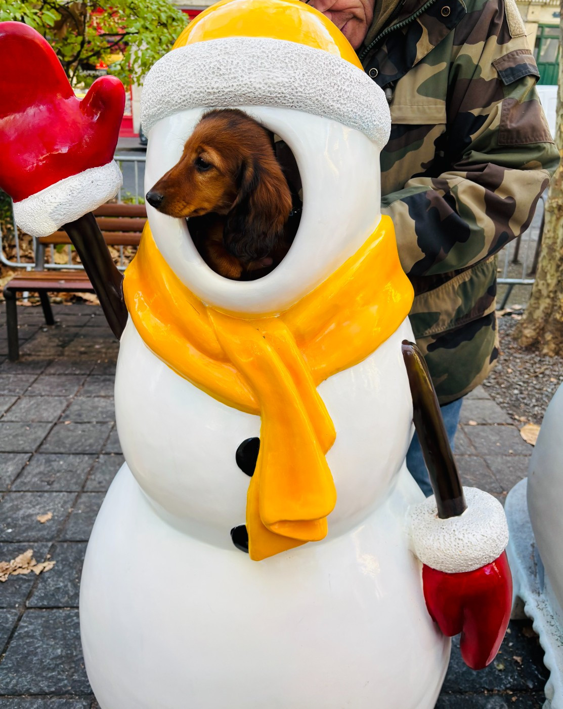 Ankhesenamon reine d egypte de la Cité des Maraudeurs