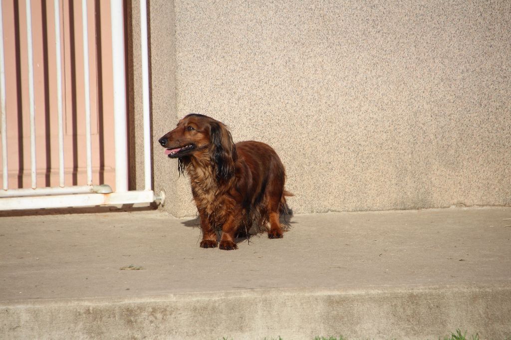 Publication : de la Cité des Maraudeurs Auteur : Propriétaire