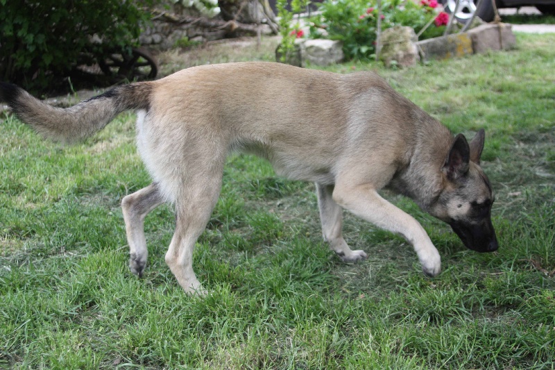 Publication : de la Cité des Maraudeurs Auteur : la cité des maraudeurs
