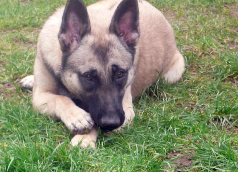 Publication : de la Cité des Maraudeurs Auteur : la cité des maraudeurs