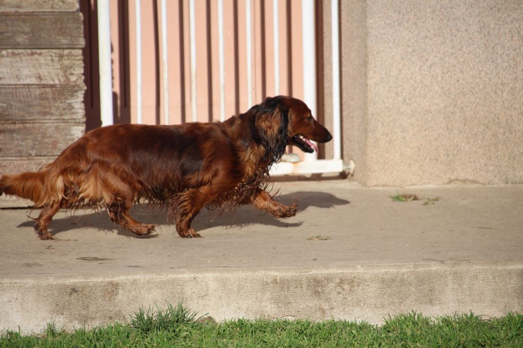 Publication : de la Cité des Maraudeurs Auteur : Propriétaire