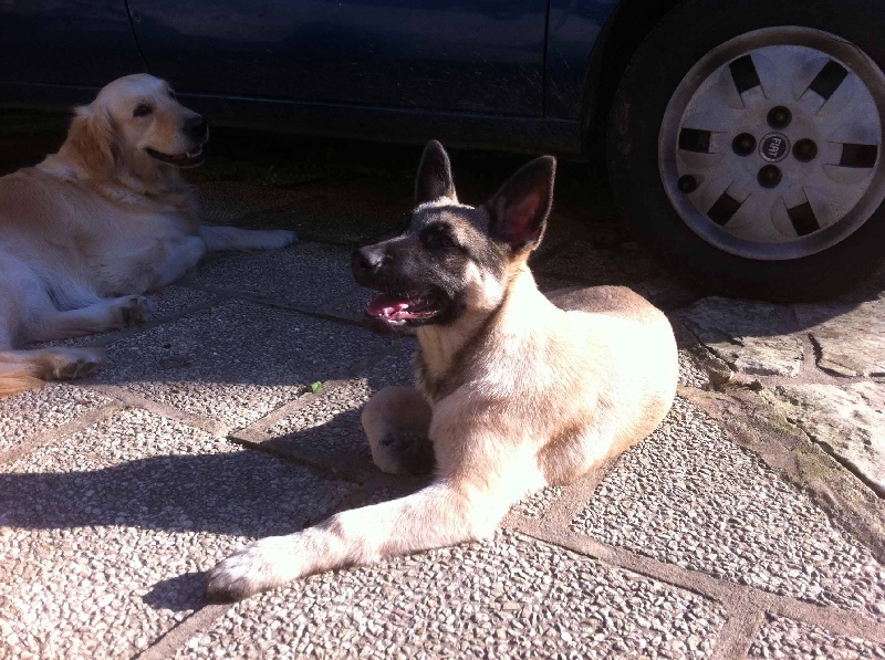 Publication : de la Cité des Maraudeurs Auteur : la cité des maraudeurs