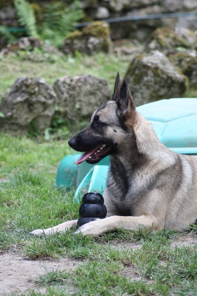 Publication : de la Cité des Maraudeurs Auteur : la cité des maraudeurs