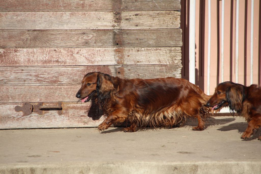 Publication : de la Cité des Maraudeurs Auteur : Propriétaire