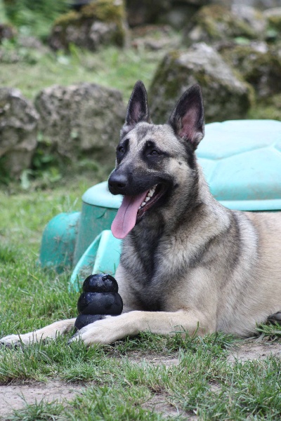 Publication : de la Cité des Maraudeurs Auteur : la cité des maraudeurs