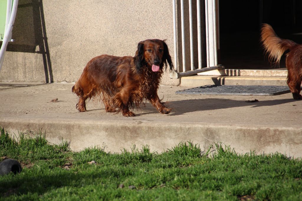 Publication : de la Cité des Maraudeurs Auteur : Propriétaire
