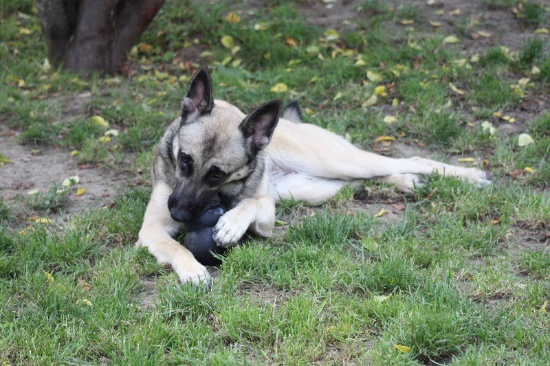 Publication : de la Cité des Maraudeurs Auteur : la cité des maraudeurs