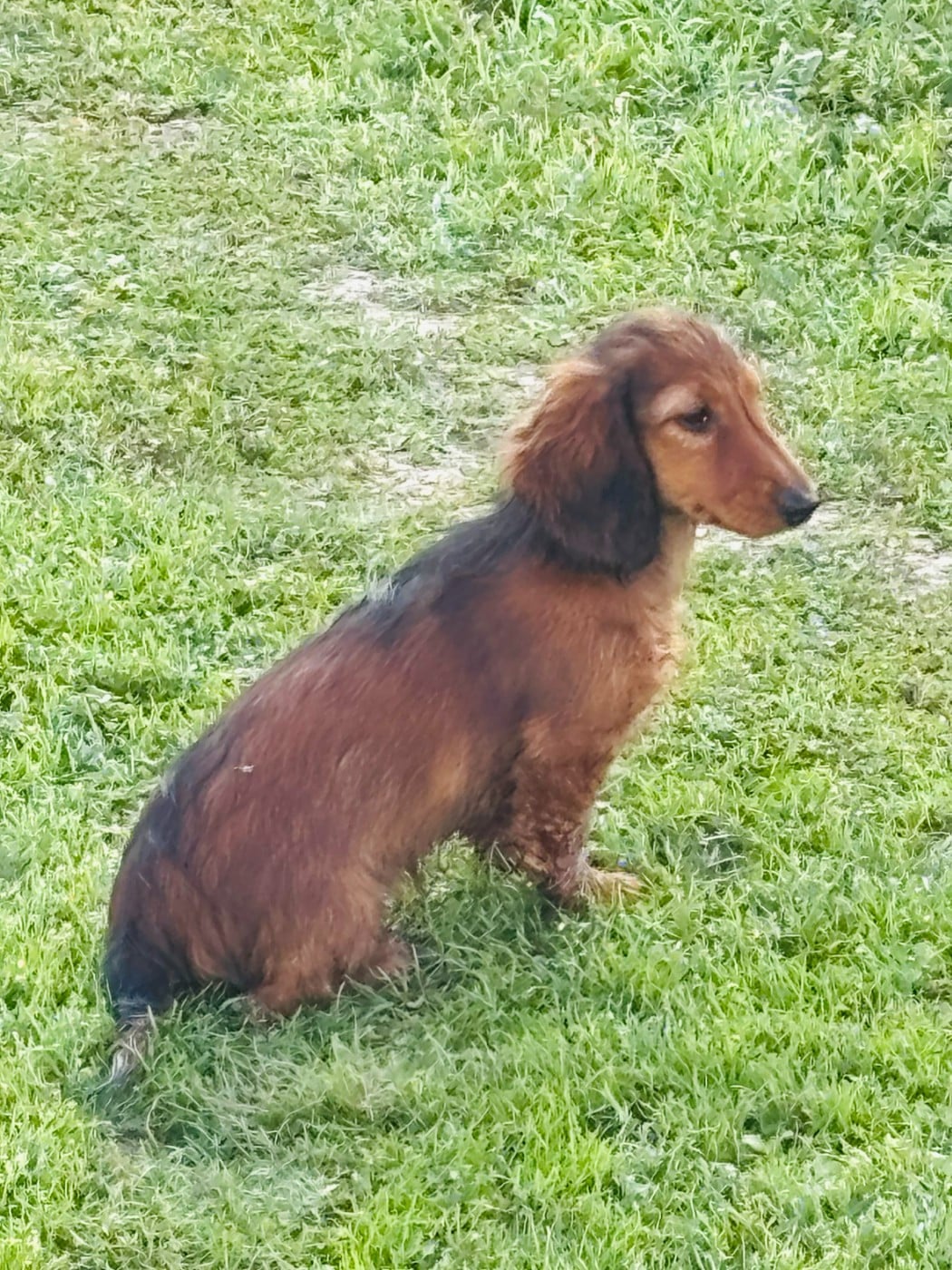 ACTARUS FILS DUROI D'EUPHOR