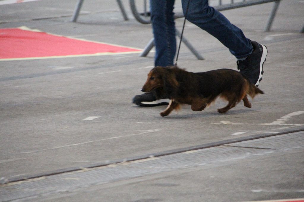CH. Il était une fois l'impératrice de la Cité des Maraudeurs - 1ERE EXC CLASSE CHAMPION