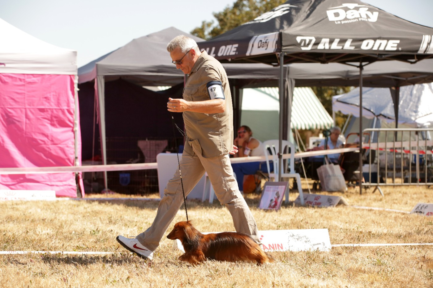 CH. Small in size but big prince de la Cité des Maraudeurs - 2EME EXC CLASSE CHAMPION MALE