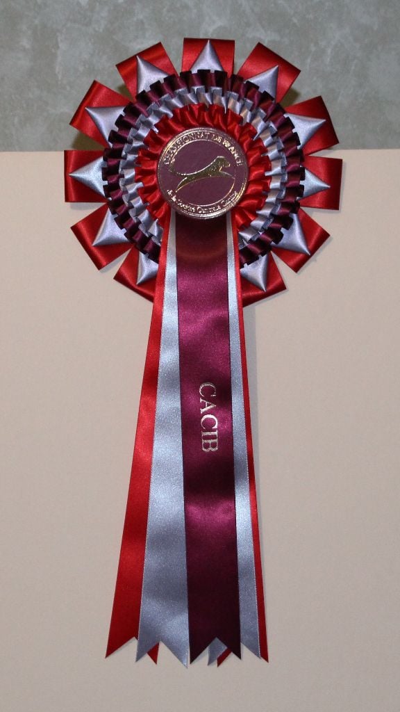 CH. Il était une fois l'impératrice de la Cité des Maraudeurs - 1ERE EXC CLASSE CHAMPION - CACIB -