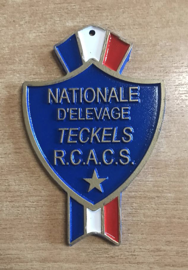 CH. Small in size but big prince de la Cité des Maraudeurs - 1ER EXC CLASSE INTERMEDIAIRE - RCACS -