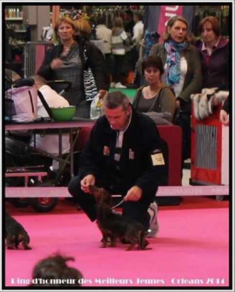 CH. Il était une fois l'impératrice de la Cité des Maraudeurs - 1er Exc classe jeune - Meilleur Jeune