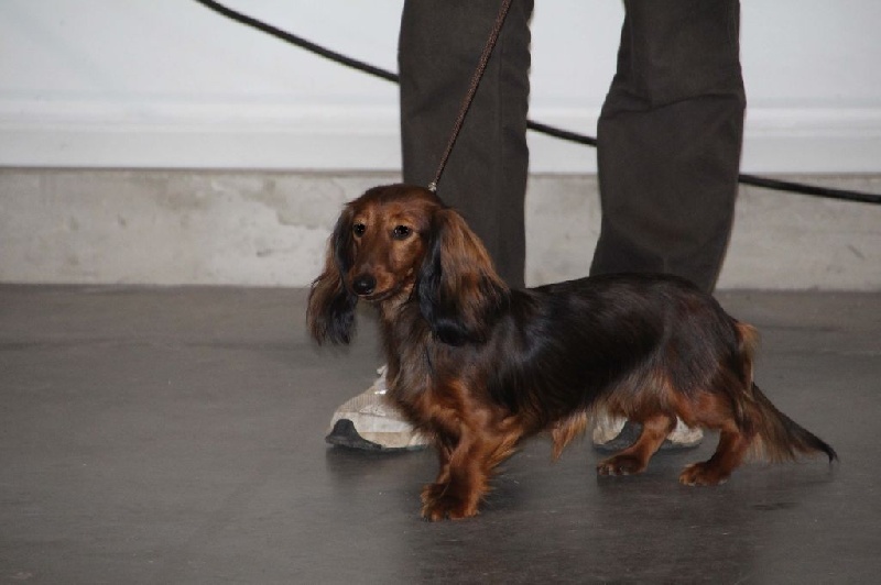 CH. Il était une fois l'impératrice de la Cité des Maraudeurs - 3ème excellent - Classe Intermédiaire