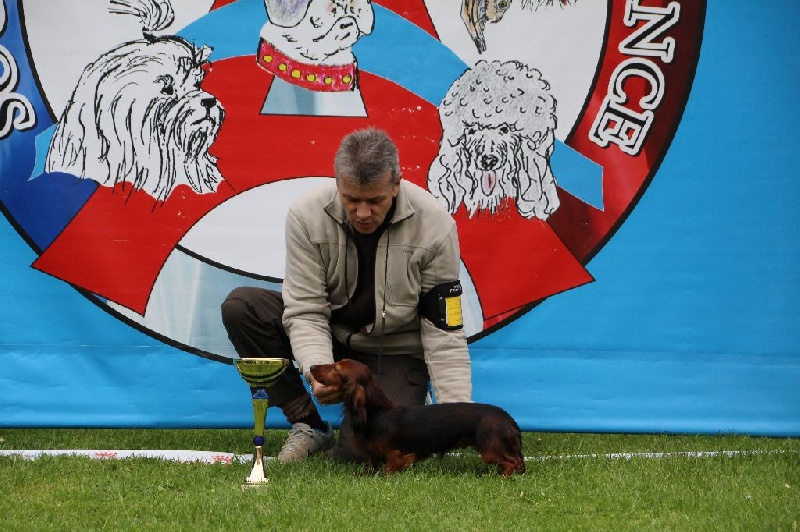 CH. Il était une fois l'impératrice de la Cité des Maraudeurs - 1er Excellent Classe ouverte - CACS