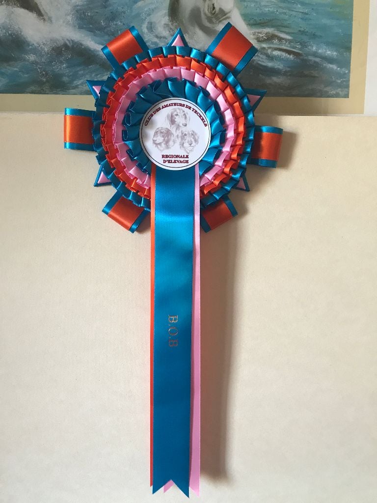 CH. Small in size but big prince de la Cité des Maraudeurs - 1ER EXC CLASSE INTERMEDIAIRE - BOB -